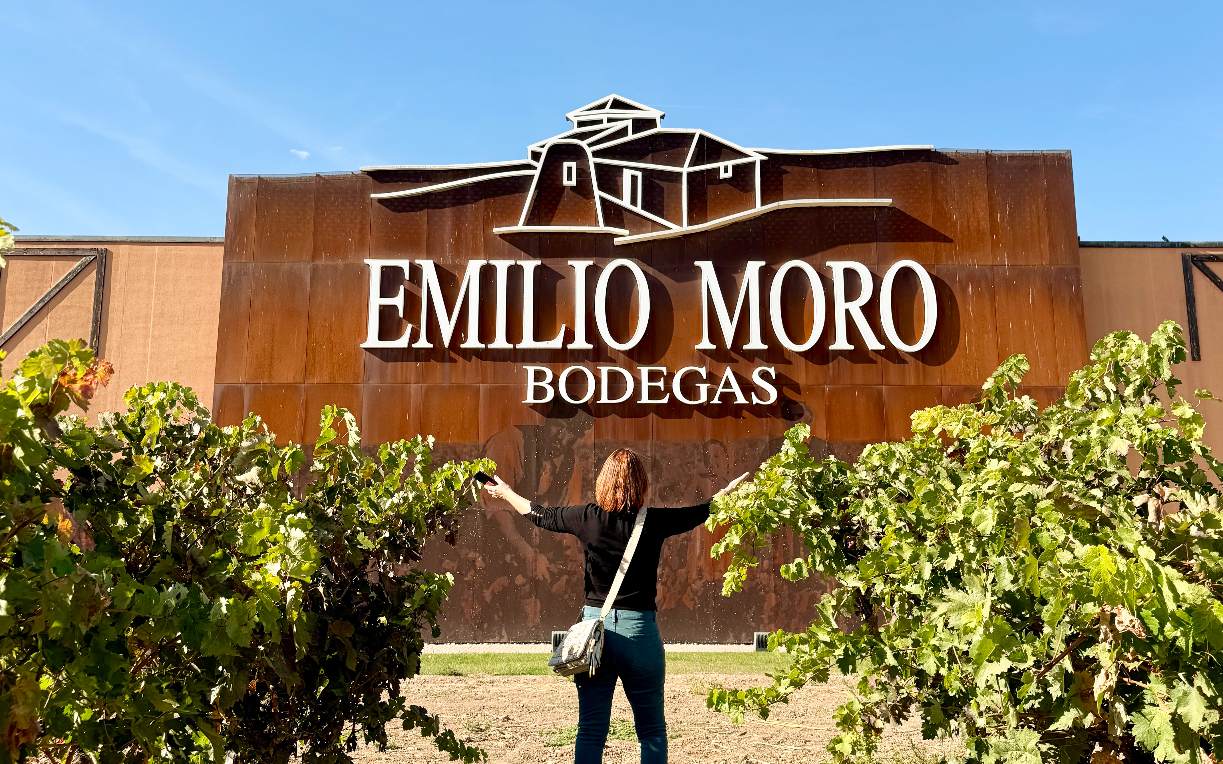 From Madrid: Ribera del Duero Wine Tasting & Wineries